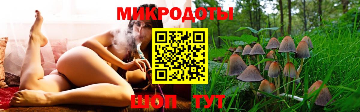 Шелехов  Псилоцибиновые грибы Psilocybine cubensis  Вход с VPN 